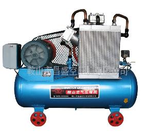 【無油空氣壓縮機(jī)】節(jié)能huan保有優(yōu)勢(shì)!